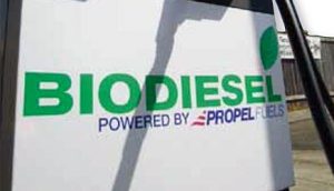 biodiesel