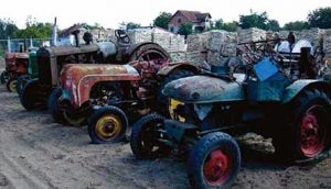 sejacice-porodicnog-biznisa