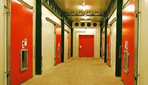 jabuka-slatka-cele-godine