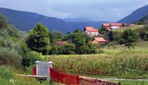 isplativa-egzotika-u-sljiviku