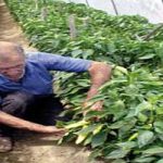 Из текстилне у „зелену“ индустрију