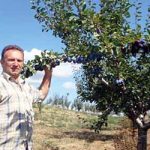 Четири генерације под истим кровом