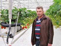 NIKOLA MILETIĆ, ODGAJIVAČ RASADA: Jagode “na sprat”