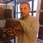 Iskustvo i strpljenje za šitake i reiši gljive