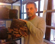 Iskustvo i strpljenje za šitake i reiši gljive