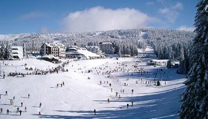 Kopaonik