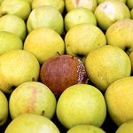 TRULE JABUKE: Kako sprečiti da loši pokvare dobre