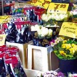 S KRAJA NA KRAJ NEMAČKE: Cveće, zelenilo i zdrava hrana