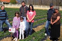 ALEKSINAČKI JAGODARI: Puno ulaganja, ali se isplati