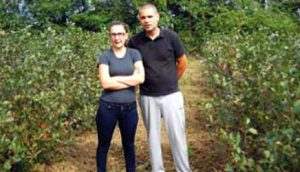 organska-proizvodnja-aronije