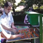 ГАЗДИНСТВО СИМОВИЋ: Чипс од јабуке из соларне сушаре