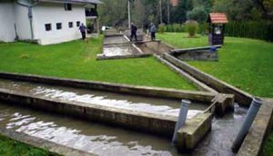 cistom-bistricom-do-profita