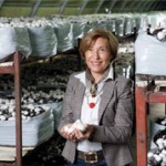 “ЕКО ФУНГИ”: Шампињони и буковаче на научној бази