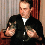 U ŠUMADIJI GAJE ČINČILE: Ulaganje se isplati