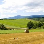 Oko 500 prijava stiglo za Inteza Farmer konkurs