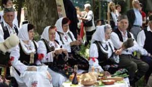 dragocena-prela-i-posela