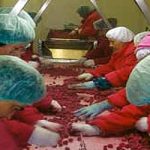 Контрола гарантује квалитет