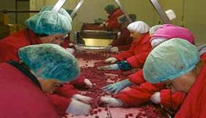 kontrola-garantuje-kvalitet