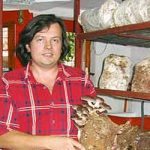 Почните, почетак је пола посла