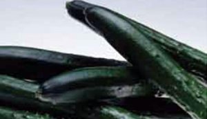 znanje-na-licu-mesta