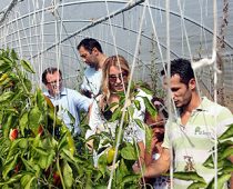 Projekat RAISE među najboljim projektima u Evropi