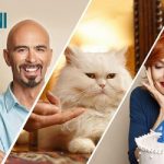 Keš kredit Vojvođanske banke