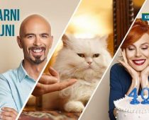 Keš kredit Vojvođanske banke