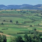 НЕЗНАЊЕ И БЕСПАРИЦА: Осигурано свега 10 одсто пољопривредних површина