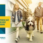 Stambeni kredit Vojvođanske banke