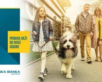 Stambeni kredit Vojvođanske banke