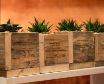 Nagrada za mentorski program Hemofarm fondacije