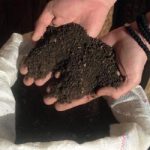 КАКО ЈЕ НИШЛИЈА РАЗВИО БИЗНИС ИЗ КОЊСКОГ СТАЈЊАКА: Компост из штале у повртњацима и расадницима