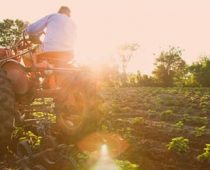 Banca Intesa uvećala kredite poljoprivredi za trećinu