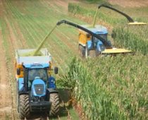 Automatizovano upravljanje poljoprivrednom proizvodnjom – AgroLIFE