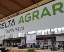 Delta Agrar apsolutni šampion u svinjarstvu i govedarstvu
