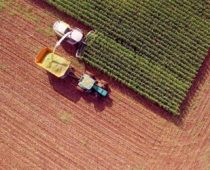 Inteza farmer konkurs