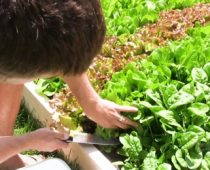 Poslovni susreti Agroorganic na Forumu organske proizvodnje