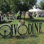 ОДРЖАН ФЕСТИВАЛ ХРАНЕ И ПИЋА – УКУСИ ВОЈВОДИНЕ: Гастро град у Лиманском парку