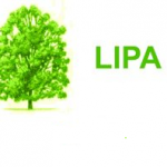 Neophodna nova terapija za najugroženije sa hroničnom limfocitnom leukemijom