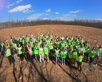 Hektar šume za četiri miliona digitalnih transakcija