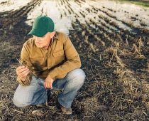 Specijalni sajamski uslovi Triglav osiguranja u poljoprivredi