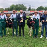  Delta Agraru 11 priznanja na Poljoprivrednom sajmu u Novom Sadu