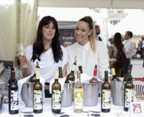 Međunarodni festival vina u Novom Sadu od 13. do 15. juna