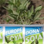 DUNAV SOJA – ŠANSA ZA IZVOZ NAŠE SOJE