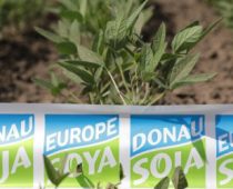 DUNAV SOJA – ŠANSA ZA IZVOZ NAŠE SOJE