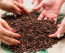 Srbija i svet danas proslavljaju Internacionalni dan kafe!