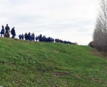 Najveća akcija sadnje u Srbiji – Zasadi drvo, zasadi svoj kiseonik!