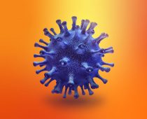 Ne nasedajte na prevaru: Trojanac Ginp zahteva novac za informacije o broju zaraženih virusom