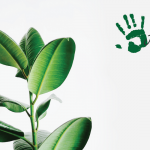 Više od četiri miliona pomoći GRAWE osiguranja u toku vanredne situacije