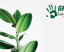 Više od četiri miliona pomoći GRAWE osiguranja u toku vanredne situacije